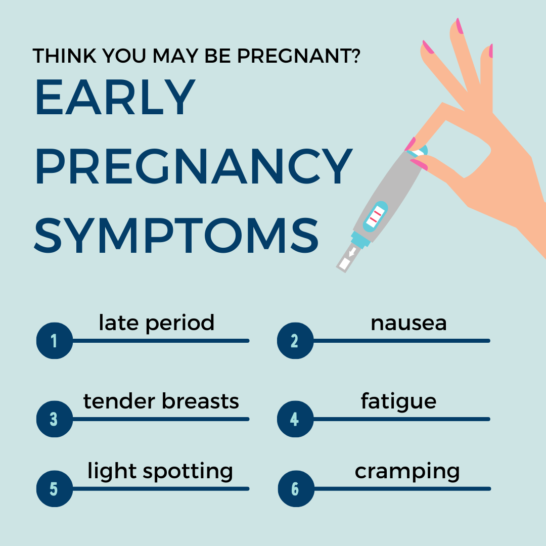 Pregnancy Symptoms informational graphic